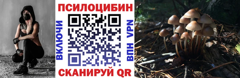 купить наркоту Малоархангельск Псилоцибиновые грибы Psilocybe